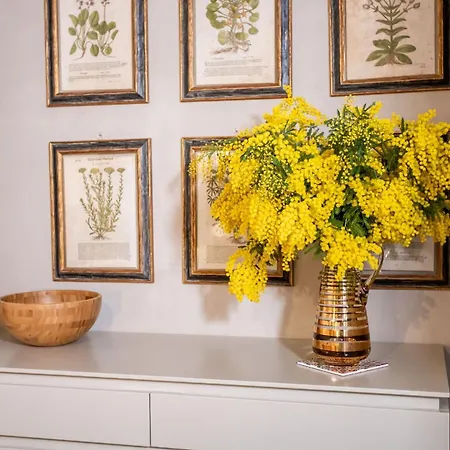 Stylish In The Historic Center Of Apartment