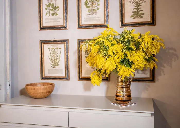 Stylish In The Historic Center Of Apartment